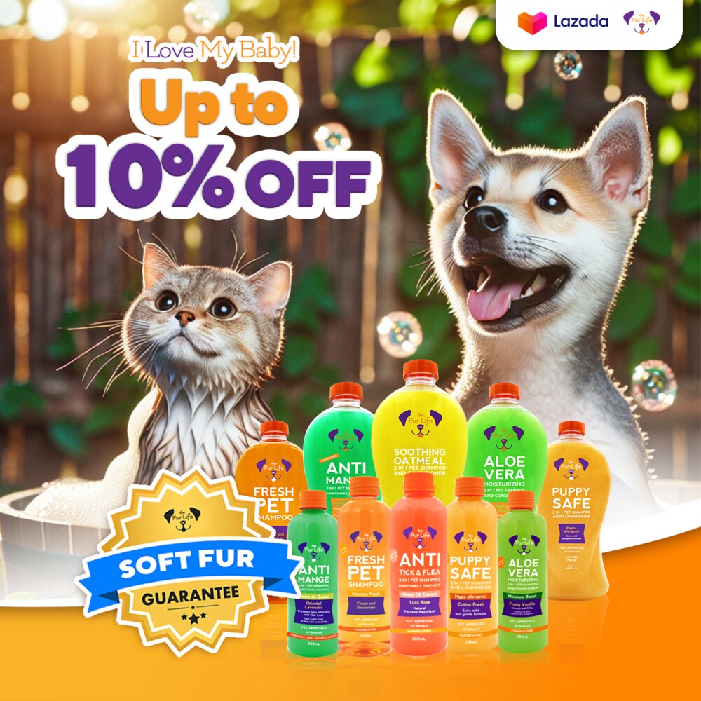The Fur Life — Lazada Campaign